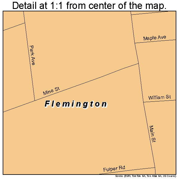 Flemington, New Jersey road map detail