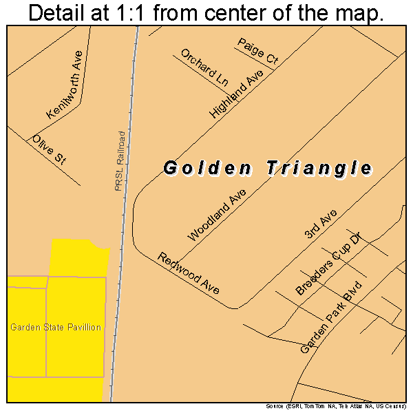 Golden Triangle, New Jersey road map detail