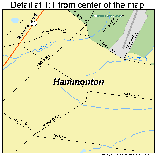Hammonton, New Jersey road map detail