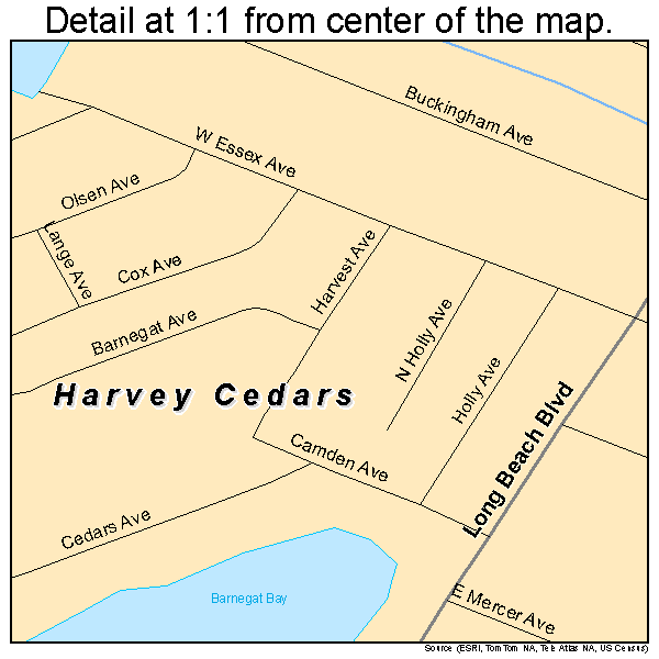 Harvey Cedars, New Jersey road map detail