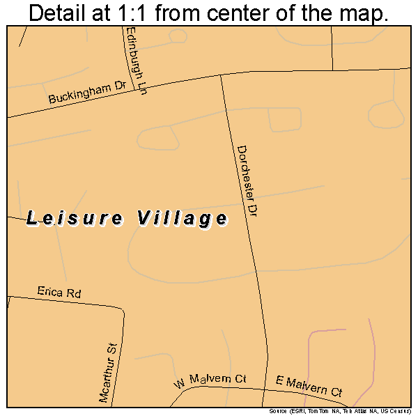 Leisure Village, New Jersey road map detail