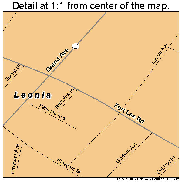 Leonia, New Jersey road map detail