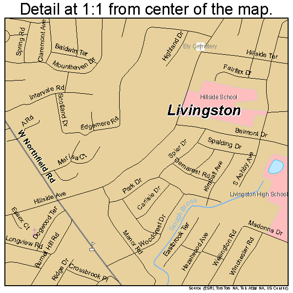 Livingston, New Jersey road map detail