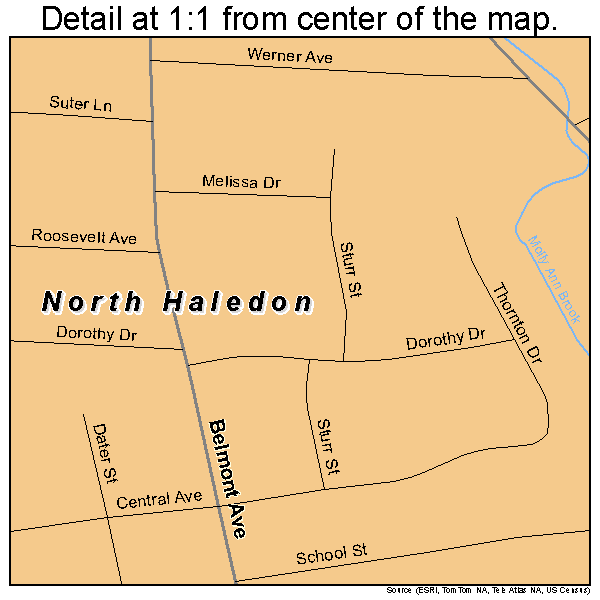 North Haledon, New Jersey road map detail