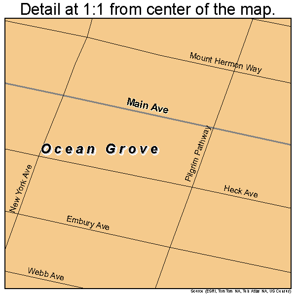 Ocean Grove, New Jersey road map detail