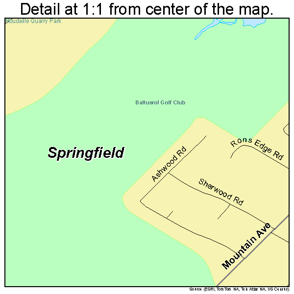 Springfield, New Jersey road map detail