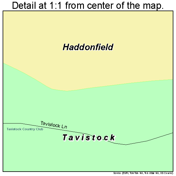 Tavistock, New Jersey road map detail