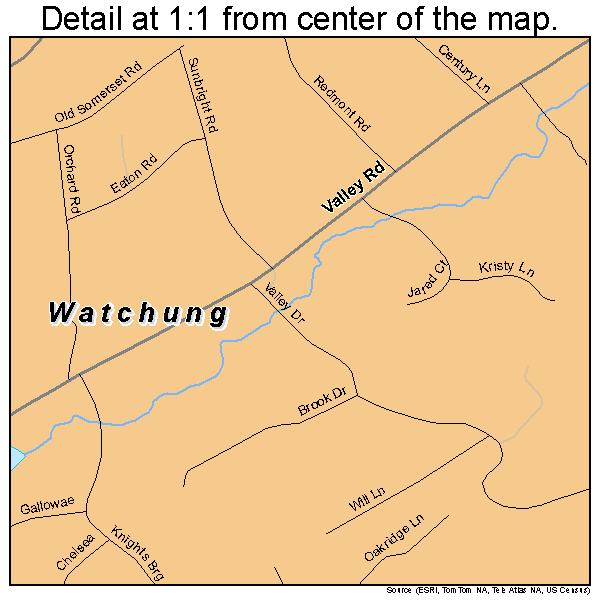 Watchung, New Jersey road map detail