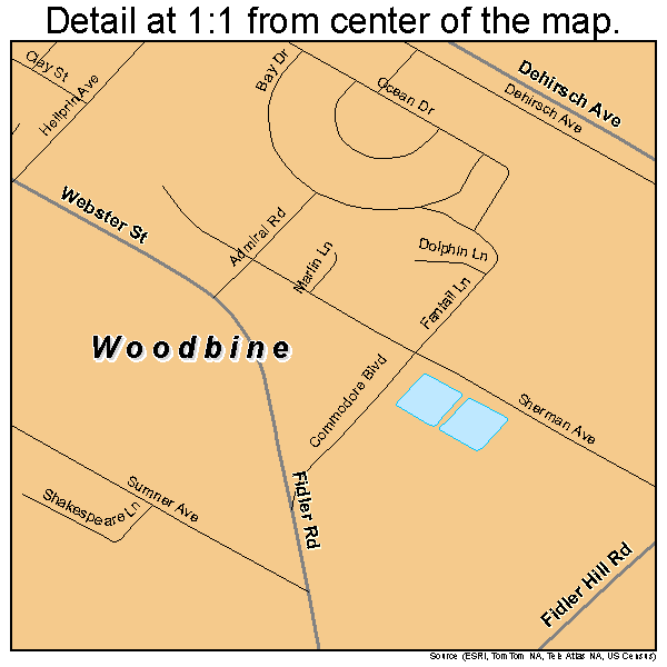 Woodbine, New Jersey road map detail