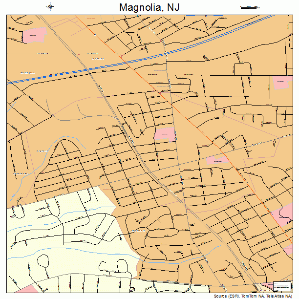 Magnolia, NJ street map