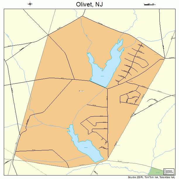 Olivet, NJ street map