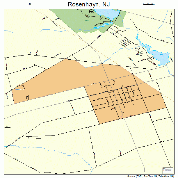 Rosenhayn, NJ street map