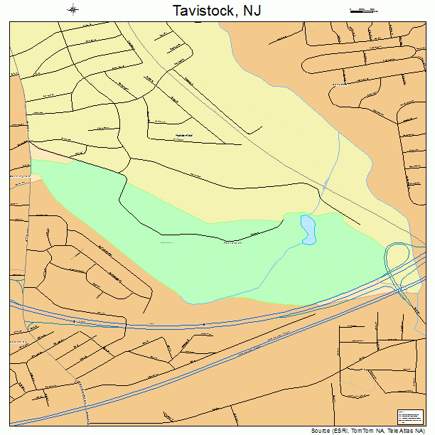 Tavistock, NJ street map