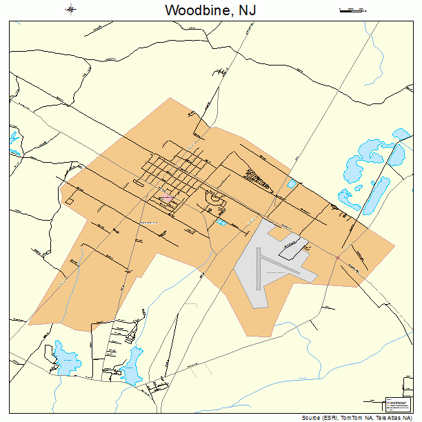 Woodbine, NJ street map