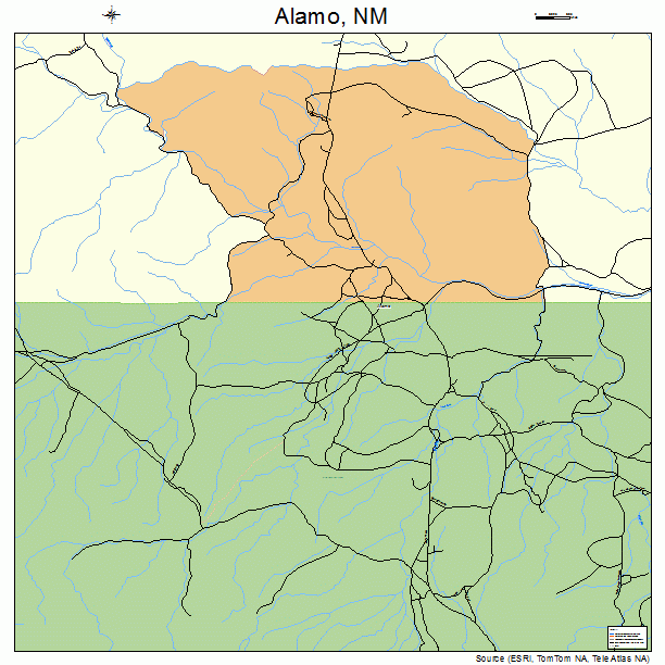 Alamo, NM street map