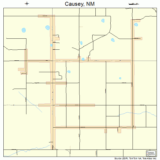 Causey, NM street map