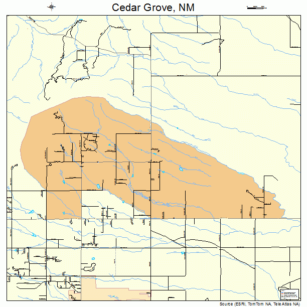 Cedar Grove, NM street map