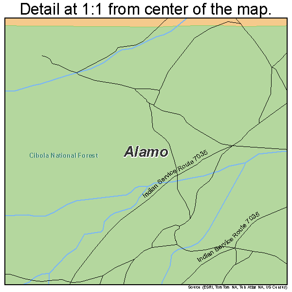 Alamo, New Mexico road map detail