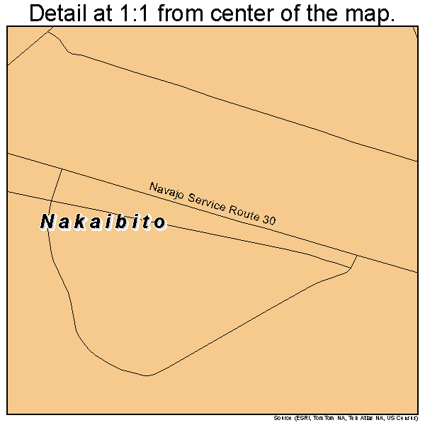 Nakaibito, New Mexico road map detail