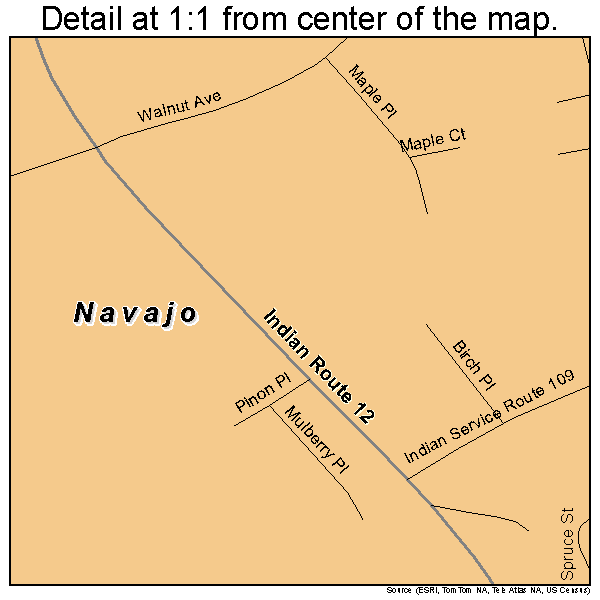 Navajo, New Mexico road map detail
