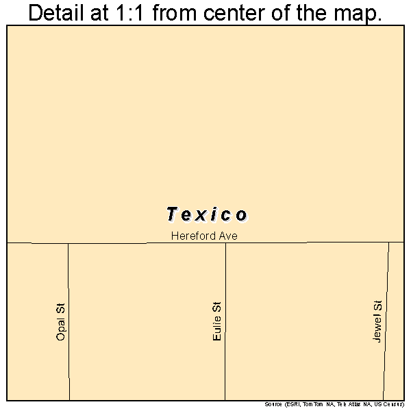 Texico, New Mexico road map detail