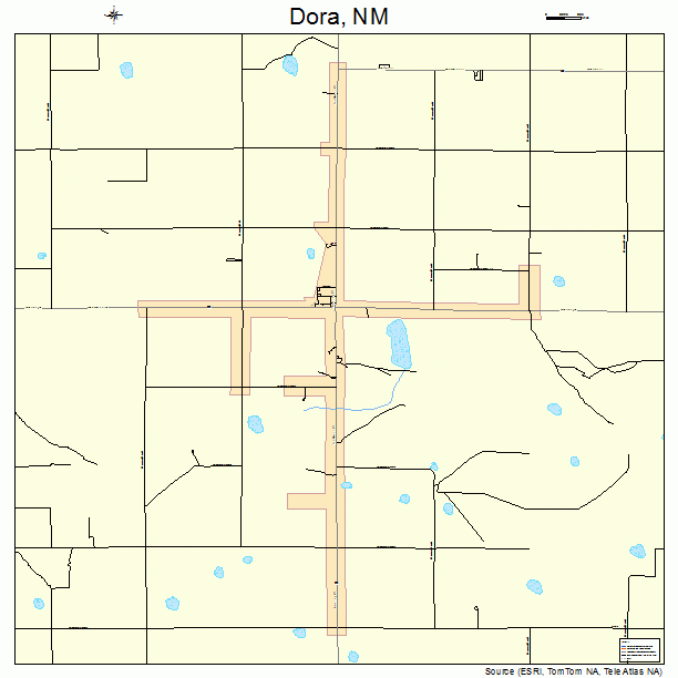 Dora, NM street map