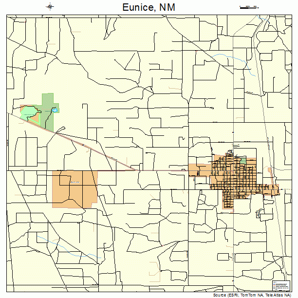 Eunice, NM street map