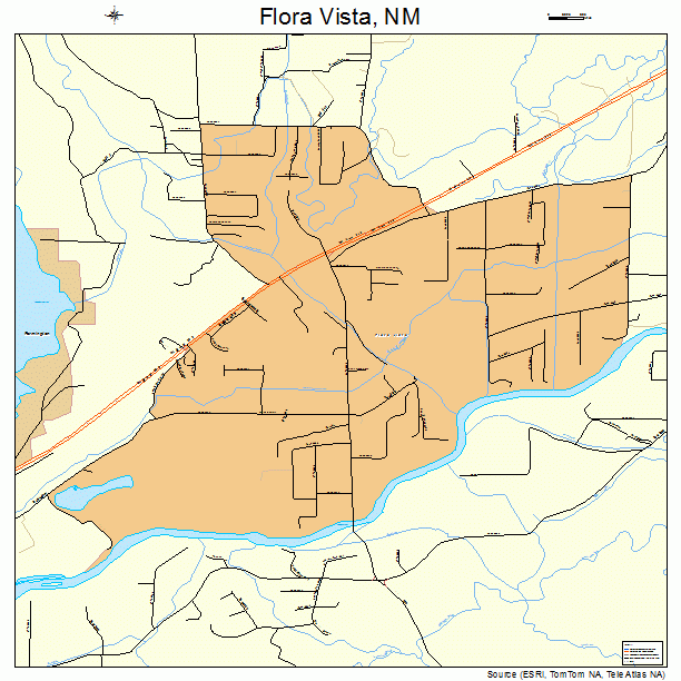 Flora Vista, NM street map