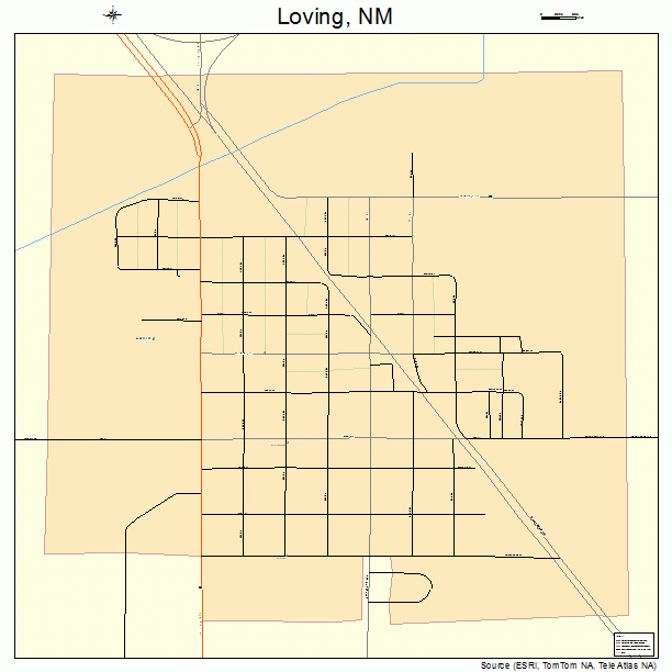 Loving, NM street map