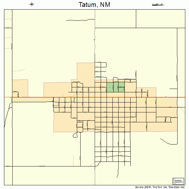 Tatum, NM street map