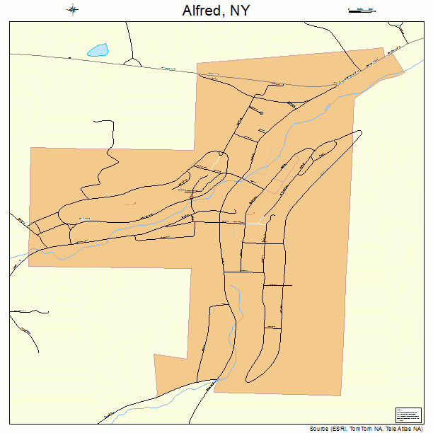Alfred, NY street map