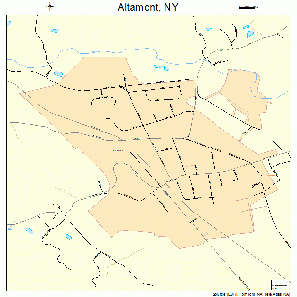 Altamont, NY street map