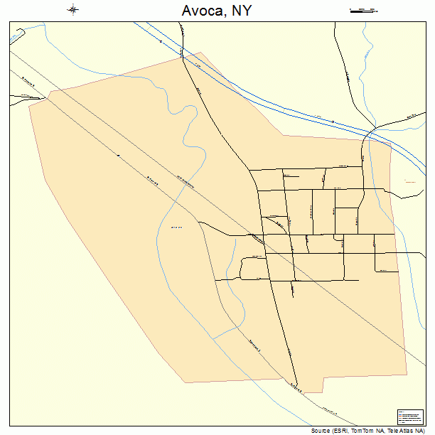 Avoca, NY street map