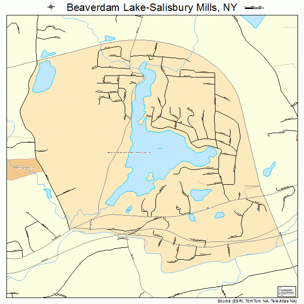 Beaverdam Lake-Salisbury Mills, NY street map