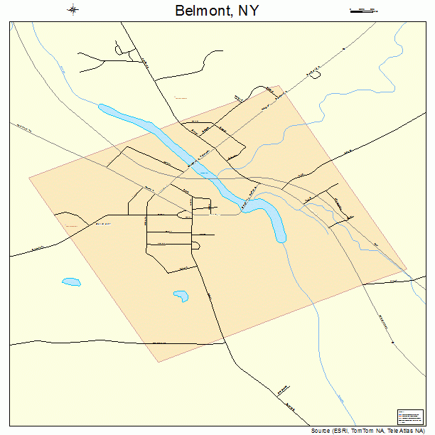 Belmont, NY street map