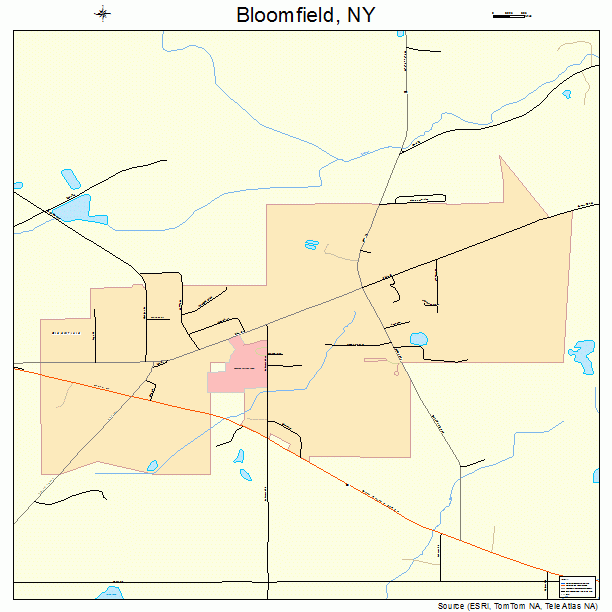 Bloomfield, NY street map