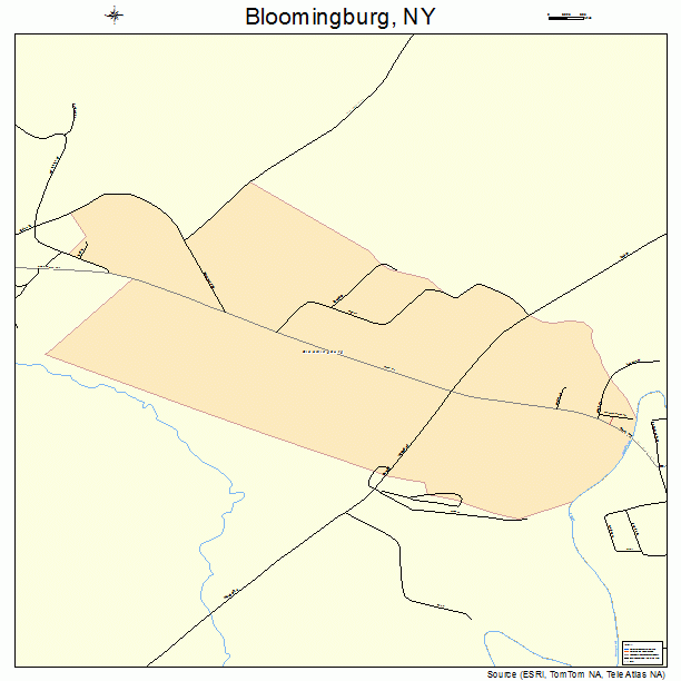 Bloomingburg, NY street map