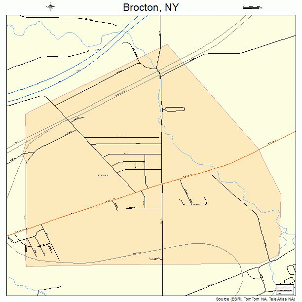 Brocton, NY street map