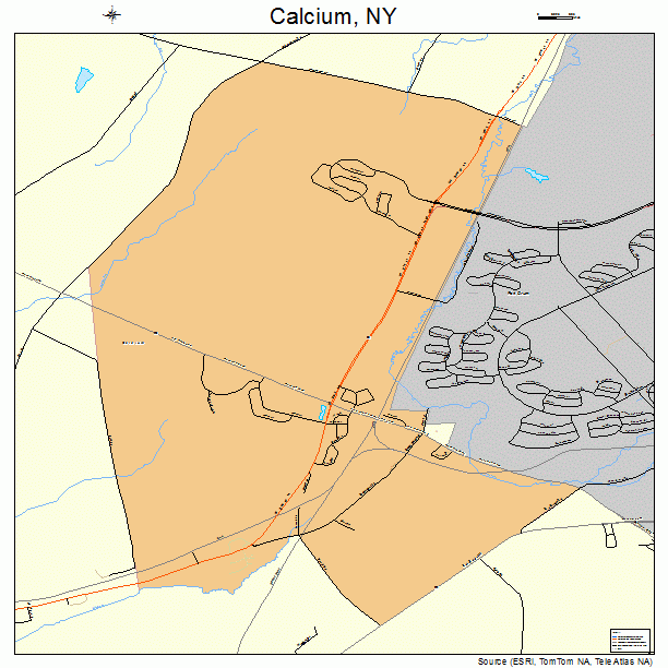 Calcium, NY street map