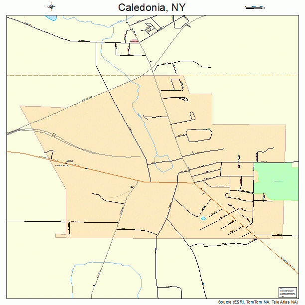 Caledonia, NY street map
