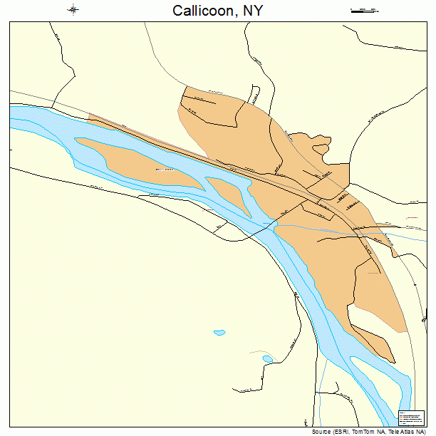 Callicoon, NY street map