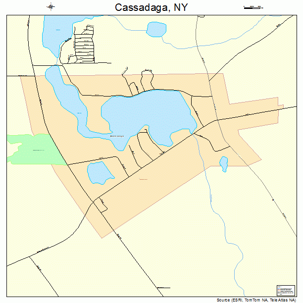 Cassadaga, NY street map