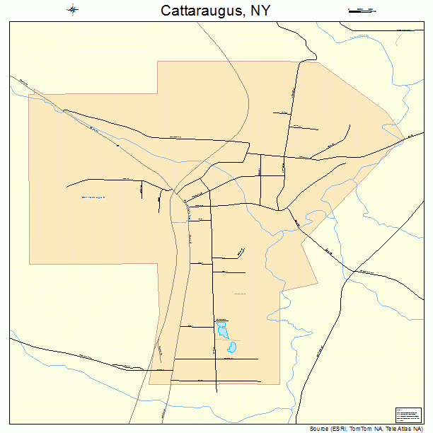 Cattaraugus, NY street map