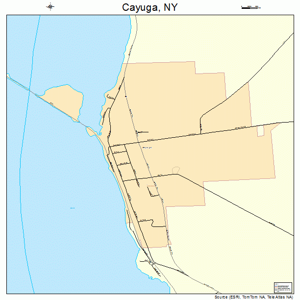 Cayuga, NY street map