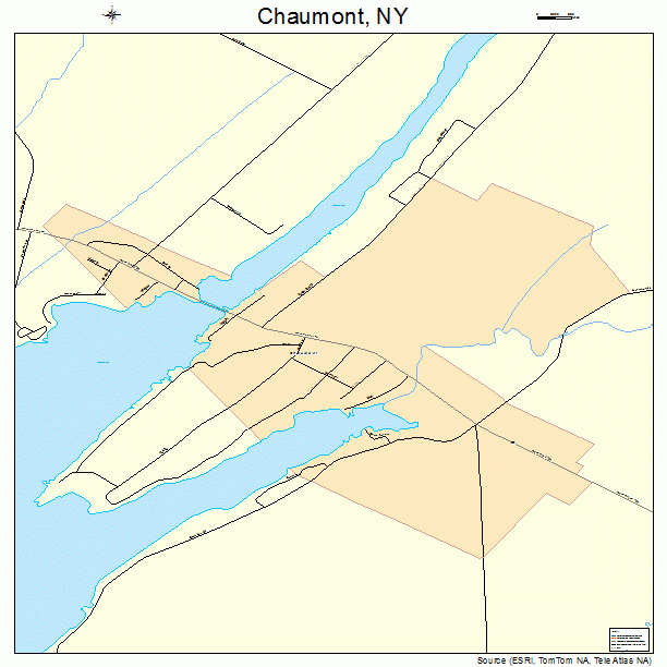 Chaumont, NY street map
