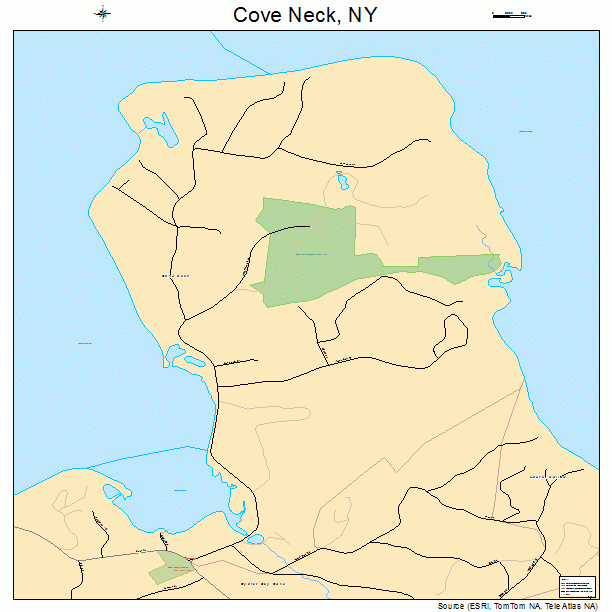 Cove Neck, NY street map