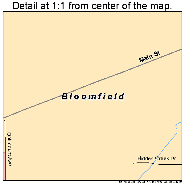 Bloomfield, New York road map detail