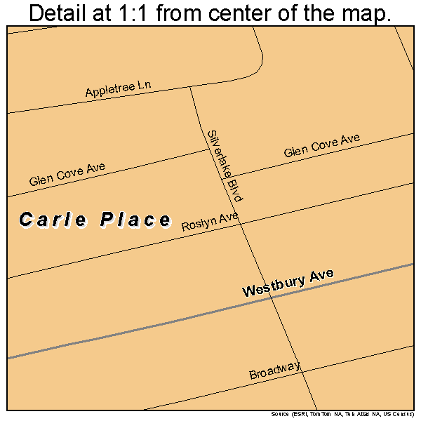 Carle Place, New York road map detail