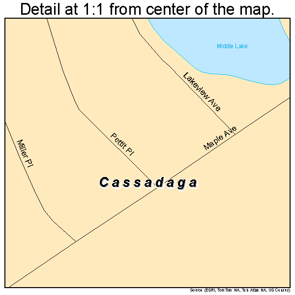 Cassadaga, New York road map detail