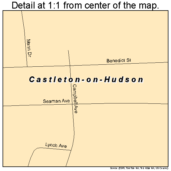 Castleton-on-Hudson, New York road map detail